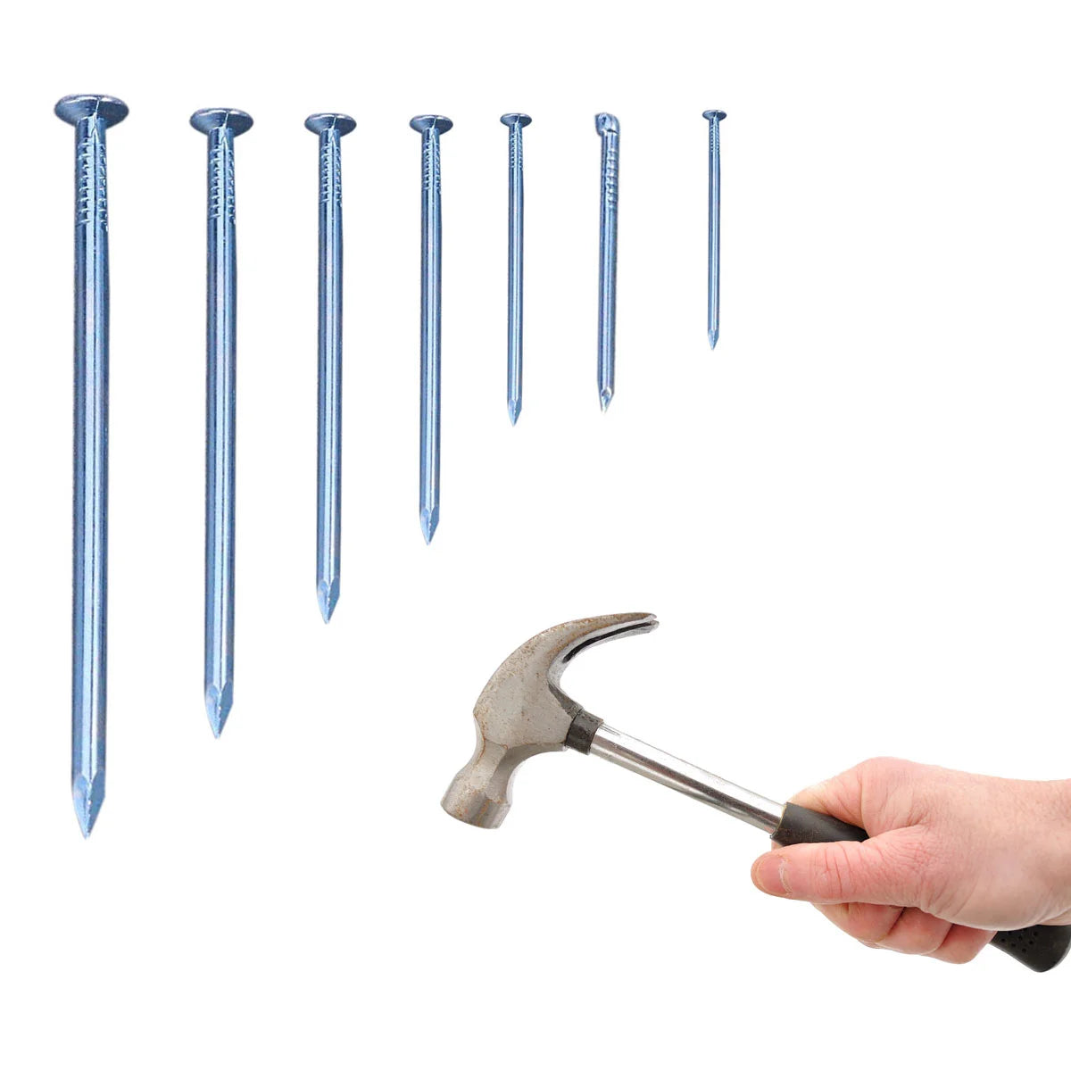 240 Pcs Brad Nails Nails Nails Round Head Nails Galvanized Brad Nails Picture Hanging Nail Assortment Kit Hardware Tools